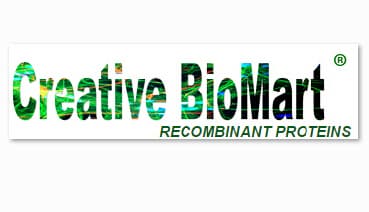 Triglyceride Colorimetric Assay Kit